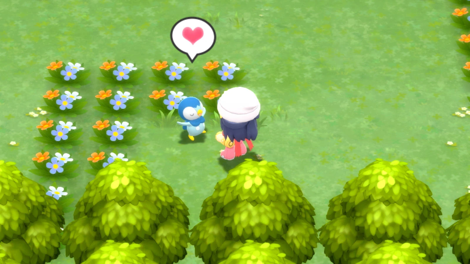 Piplup demonstra carinho por sua Treinadora com um coração em Amity Square